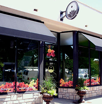 Plants floral design in Denver